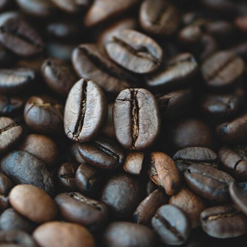which is the best coffee BEANS